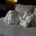 The Owl シャレー *