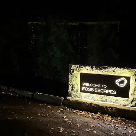 シャレー The Owl *