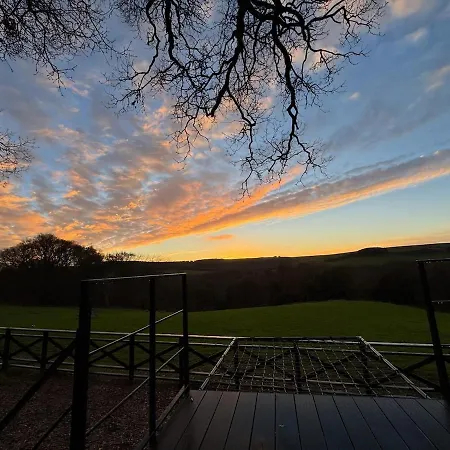 シャレー The Owl *