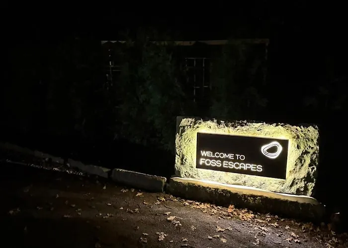 シャレー The Owl *