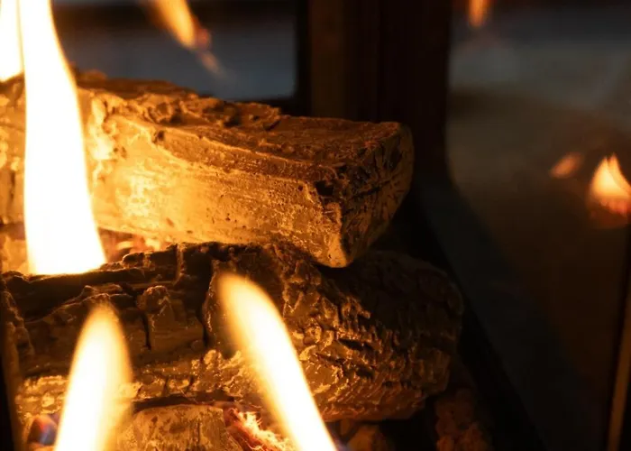 シャレー The Owl