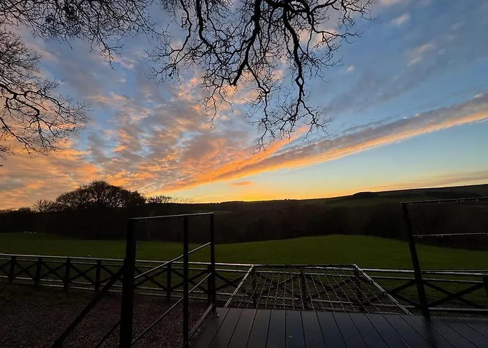 シャレー The Owl *