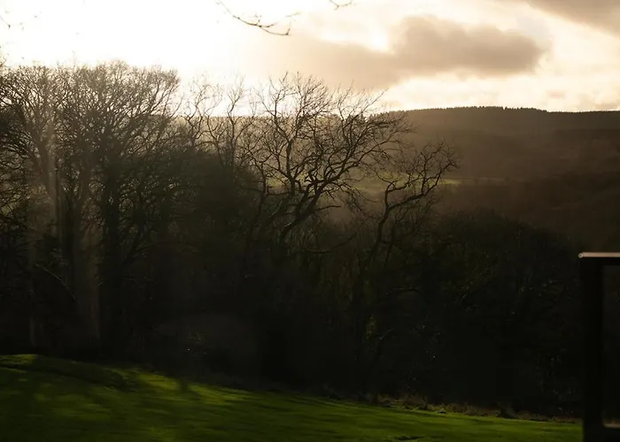 シャレー The Owl Sneaton