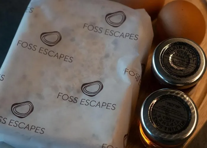 シャレー The Owl *