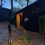 The Owl *